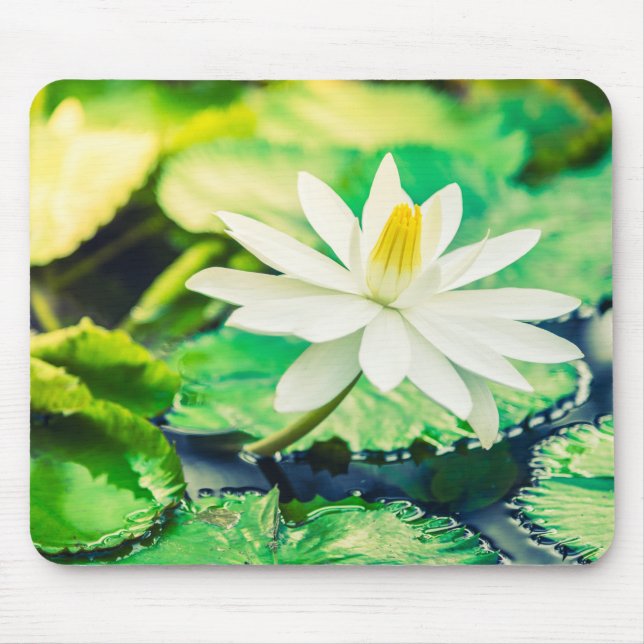 Mousepad Pad do mouse (Frente)