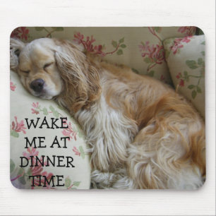 MOUSEPAD PAD DO MOUSE "ACORDAR ME EM TEMPO JANTE"