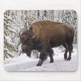 Mousepad Pad do mouse American Bison (Bison bison)