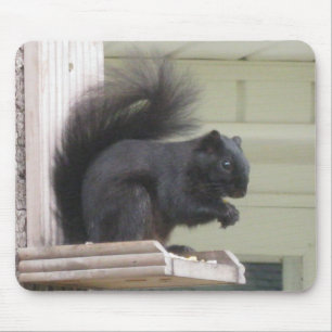 Mousepad Pad do mouse Black Squirrel