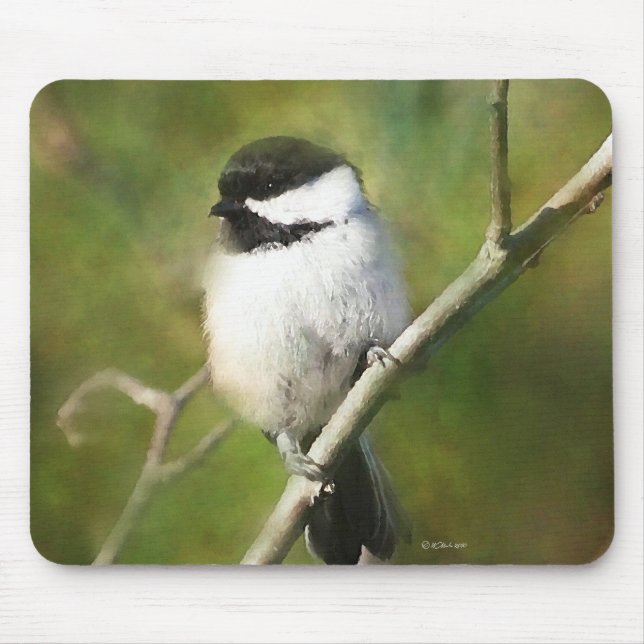 Mousepad Pad do mouse Chickadee com proteção preta (Frente)