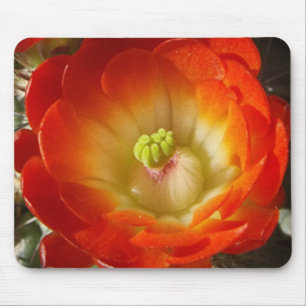 Mousepad Pad do mouse da Flor Laranja do Cactus