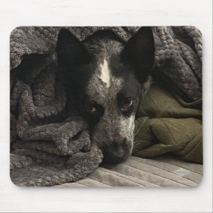 Mousepad Pad do mouse de foto - HAMbyWG