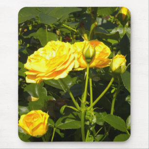 Mousepad Pad do Mouse de Rosas Amarelas