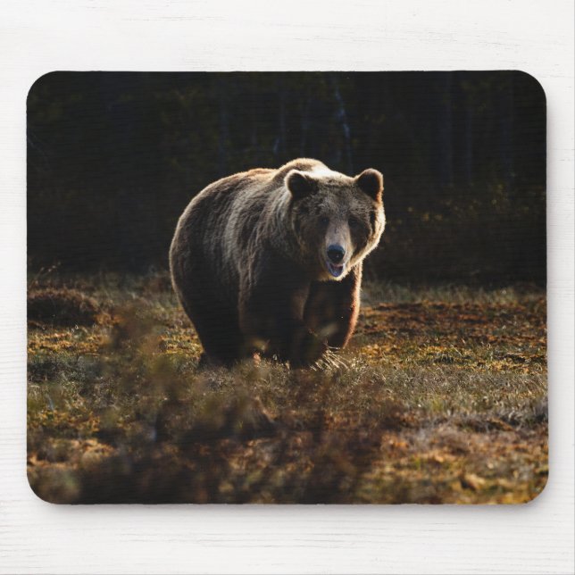 Mousepad Pad do mouse do urso (Frente)