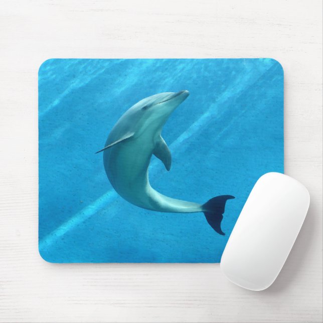 Mousepad Pad do mouse Dolphin (Com mouse)