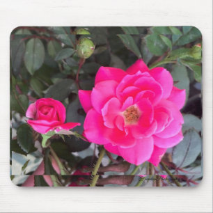 Mousepad Pad do mouse Fuscia Rosa