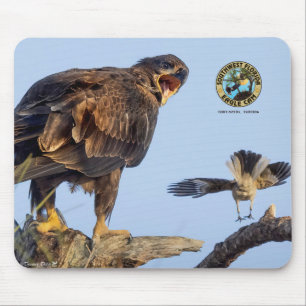 Mousepad Pad do Mouse Gelado SWFL - E22 e Amigo