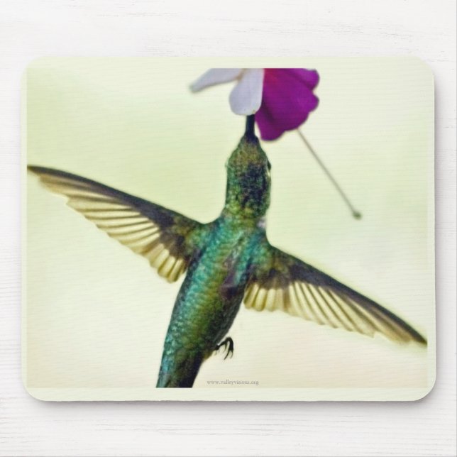Mousepad Pad do mouse Hummingbird (Frente)