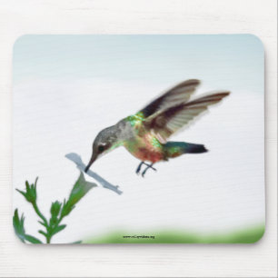 Mousepad Pad do mouse Hummingbird