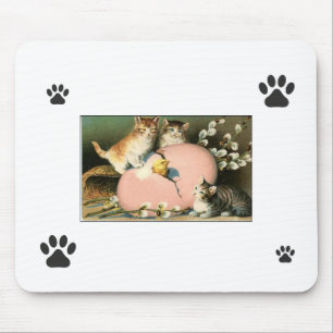 Mousepad Pad do mouse Kittens