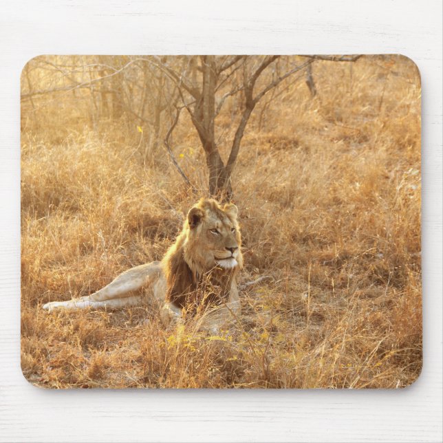 Mousepad Pad do mouse leão (Frente)