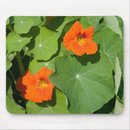 Mousepad Pad do mouse Nasturtium laranja