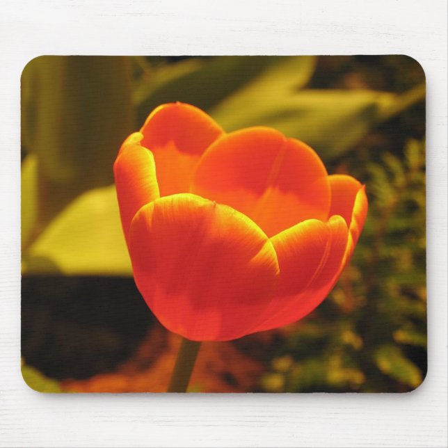Mousepad Pad do mouse Orange Tulip (Frente)
