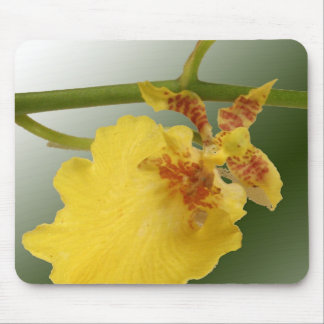 Mousepad Pad do mouse orquídeo