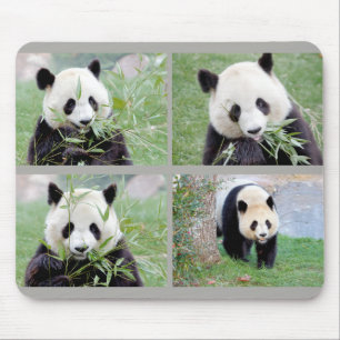 Mousepad Pad do mouse Panda gigante fotográfico, animais 02