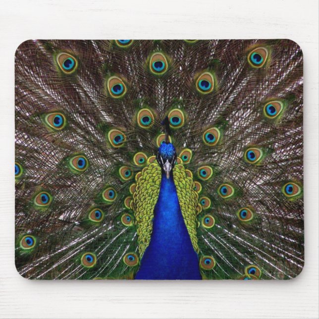 Mousepad Pad do mouse Peacock (Frente)