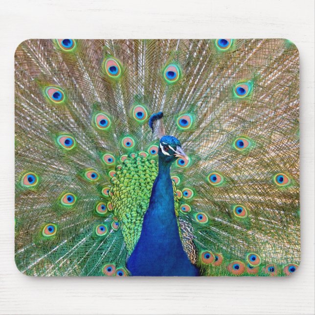 Mousepad Pad do mouse Peacock (Frente)