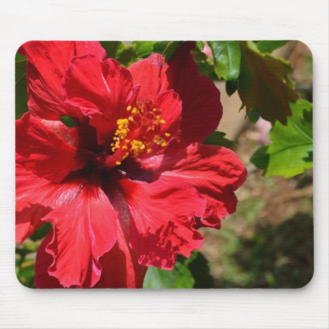 Mousepad Pad do mouse Red Hibiscus (Frente)