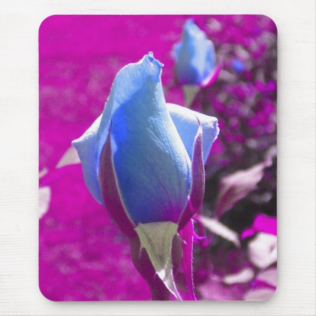 Mousepad Pad do mouse Rosa azul (Frente)