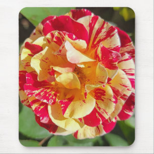Mousepad Pad do mouse rosa vermelho e amarelo