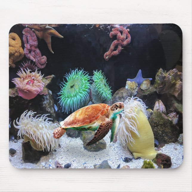 Mousepad Pad do mouse Sea Life (Frente)