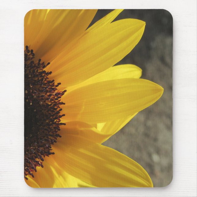 Mousepad Pad do Mouse Sunny Sunflower Clopup (Frente)