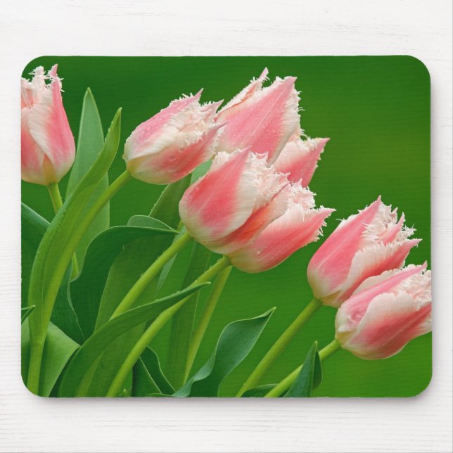 Mousepad Pad do mouse Tulipas Rosa (Frente)