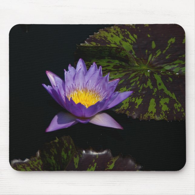 Mousepad Pad do Mouse Waterlily Roxo (Frente)