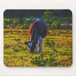 Mousepad Pad do Rato de Arte bonito do Texas