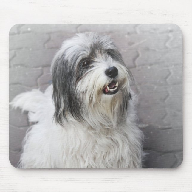 Mousepad Pad do Rato de Cachorro (Frente)