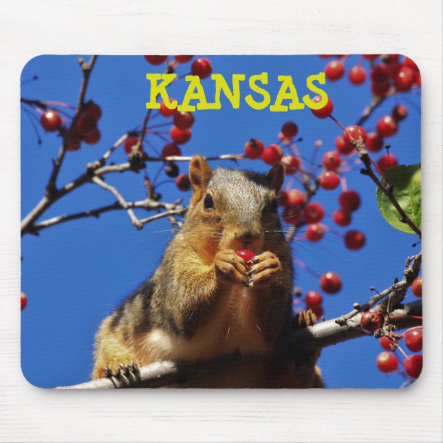 Mousepad PAD do rato de esquilo de cauda do Kansas Fox Tail (Frente)