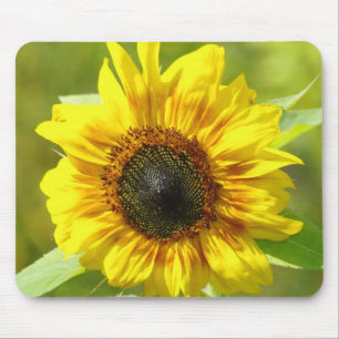 Mousepad Pad do Rato de Girassol