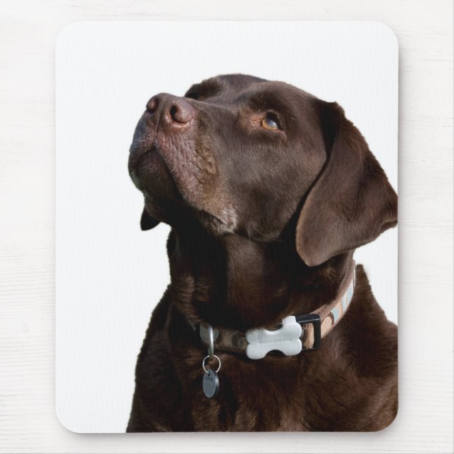 Mousepad Pad do Rato de Labrador Preto e Castanho (Frente)