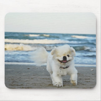 Mousepad Pad do rato de praia do Pete
