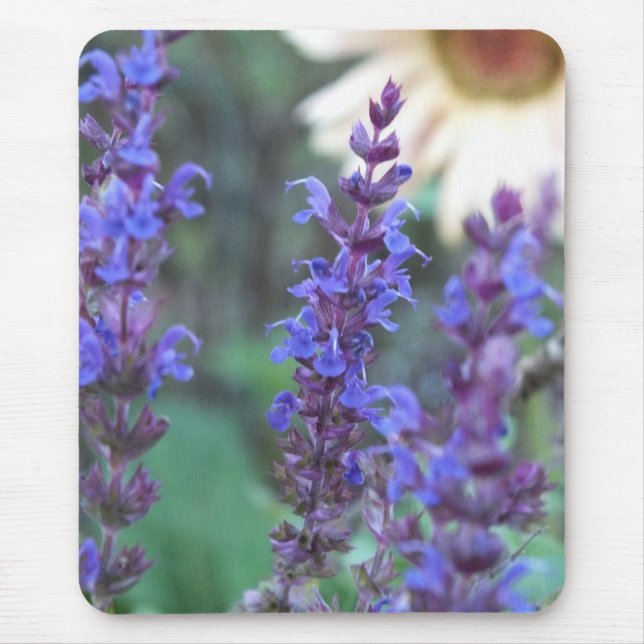 Mousepad Pad do Rato de Salvia Roxo (Frente)