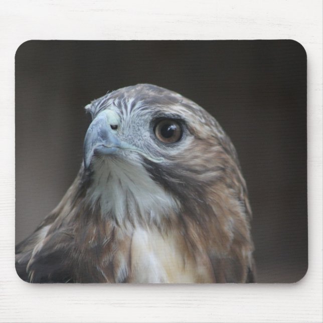 Mousepad Pad do Rato Falcão Vermelho (Frente)