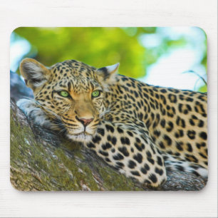 Mousepad Pad do rato-leopardo da Tanzânia