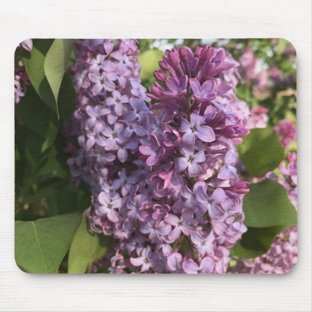 Mousepad Pad do Rato Lilático Roxo (Frente)