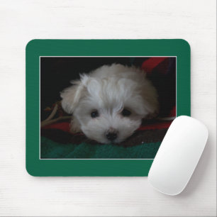 Mousepad Pad do Rato Maltês de Olhos Pupppy
