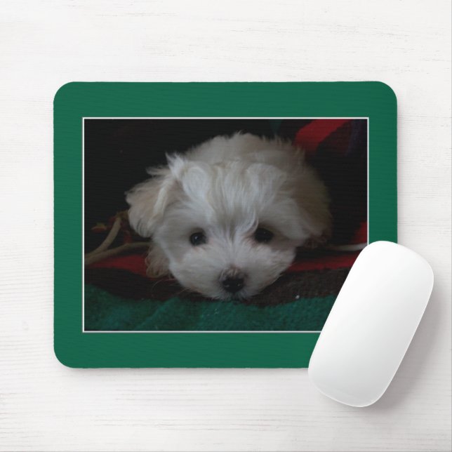 Mousepad Pad do Rato Maltês de Olhos Pupppy (Com mouse)