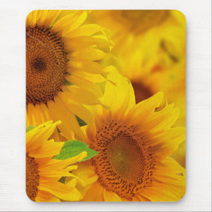 Mousepad Pad do Rato Sunflower