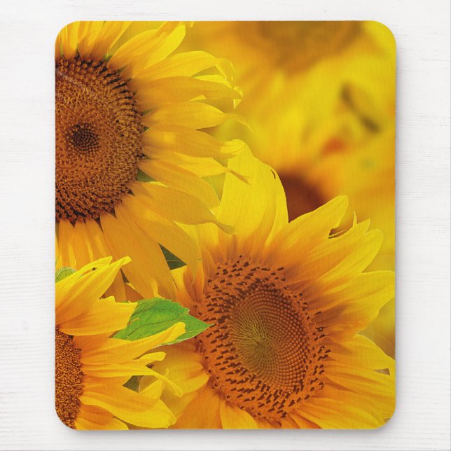 Mousepad Pad do Rato Sunflower (Frente)
