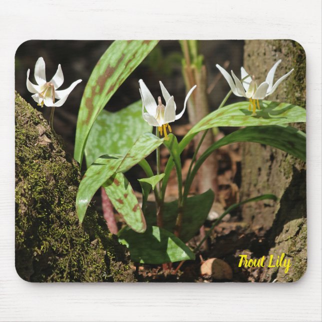 Mousepad Pad do Rato Trout Lily (Frente)