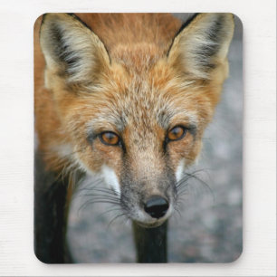 Mousepad Pad do Rato Vermelho