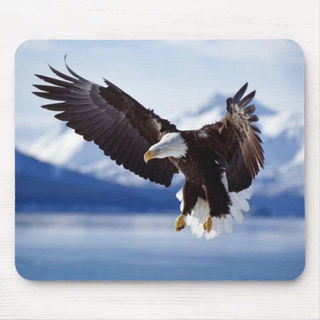 Mousepad Pad-Eagle do Mouse (Frente)