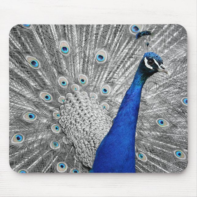 Mousepad Pad Gordo de Mouse Peacock (Frente)