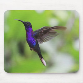 Mousepad Pad Gordo Rato Hummingbird
