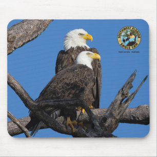 Mousepad Pad-Mouse Gato de Águia SWFL - M15 e F23