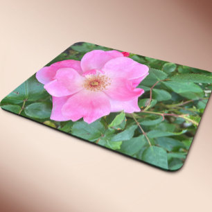 Mousepad Pad Rosa Rosa Rosa Rosa Rosa Rosa Flor com Mouse